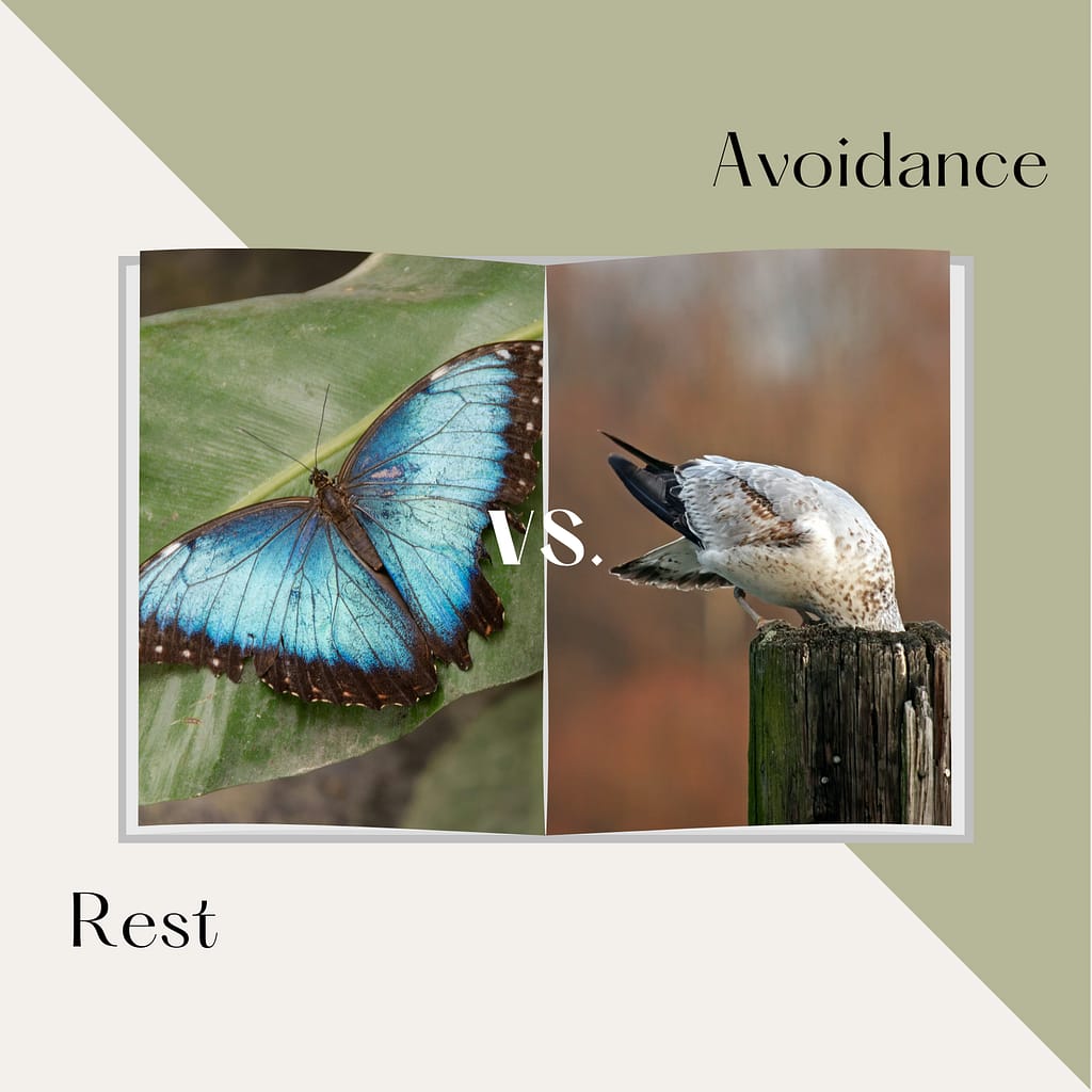 Avoidance vs Rest