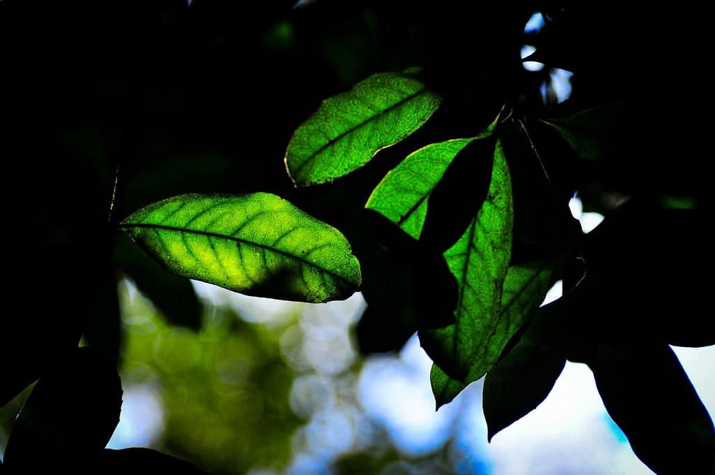 Dating After Healing