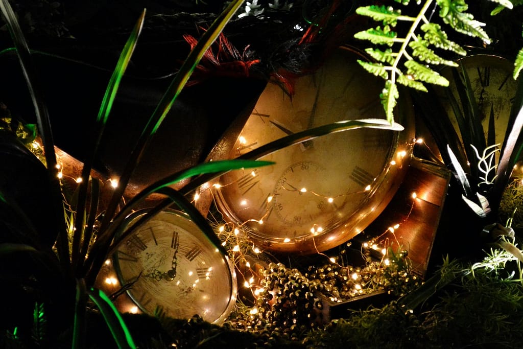 Calm Morning Routine