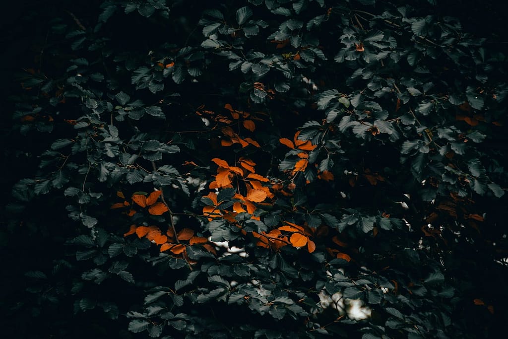 Relationship Breakdowns