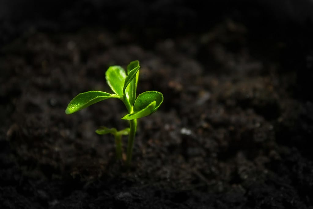 Feeling Stuck In Life