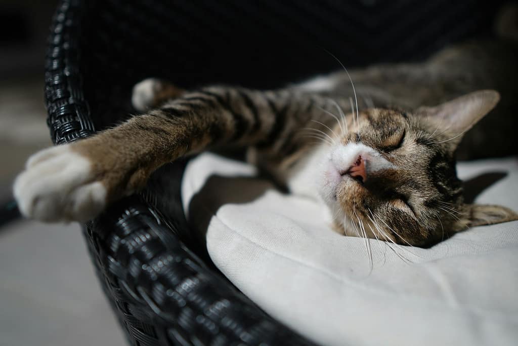 How to Stop Procrastinating