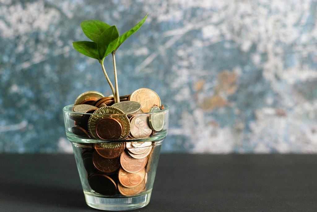 save money without feeling restricted