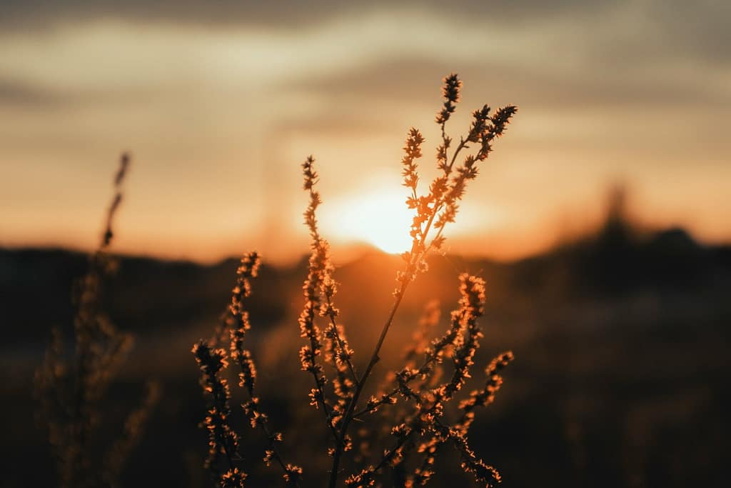 Future Version of Yourself