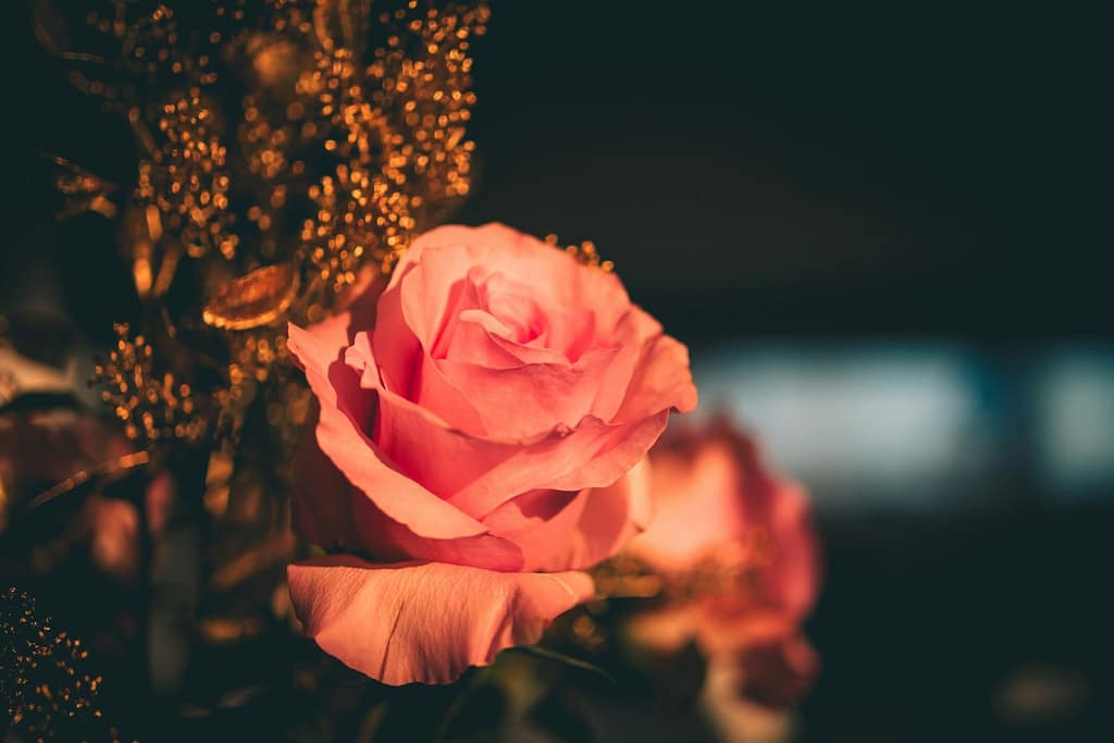 Feeling Single After Valentine's Day