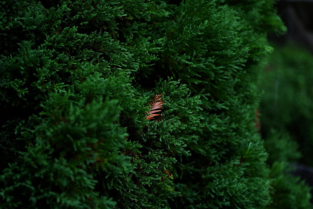 How to Find Yourself